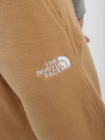 Брюки The North Face 100 Glacier модель NF0A855QI0J1 Фото