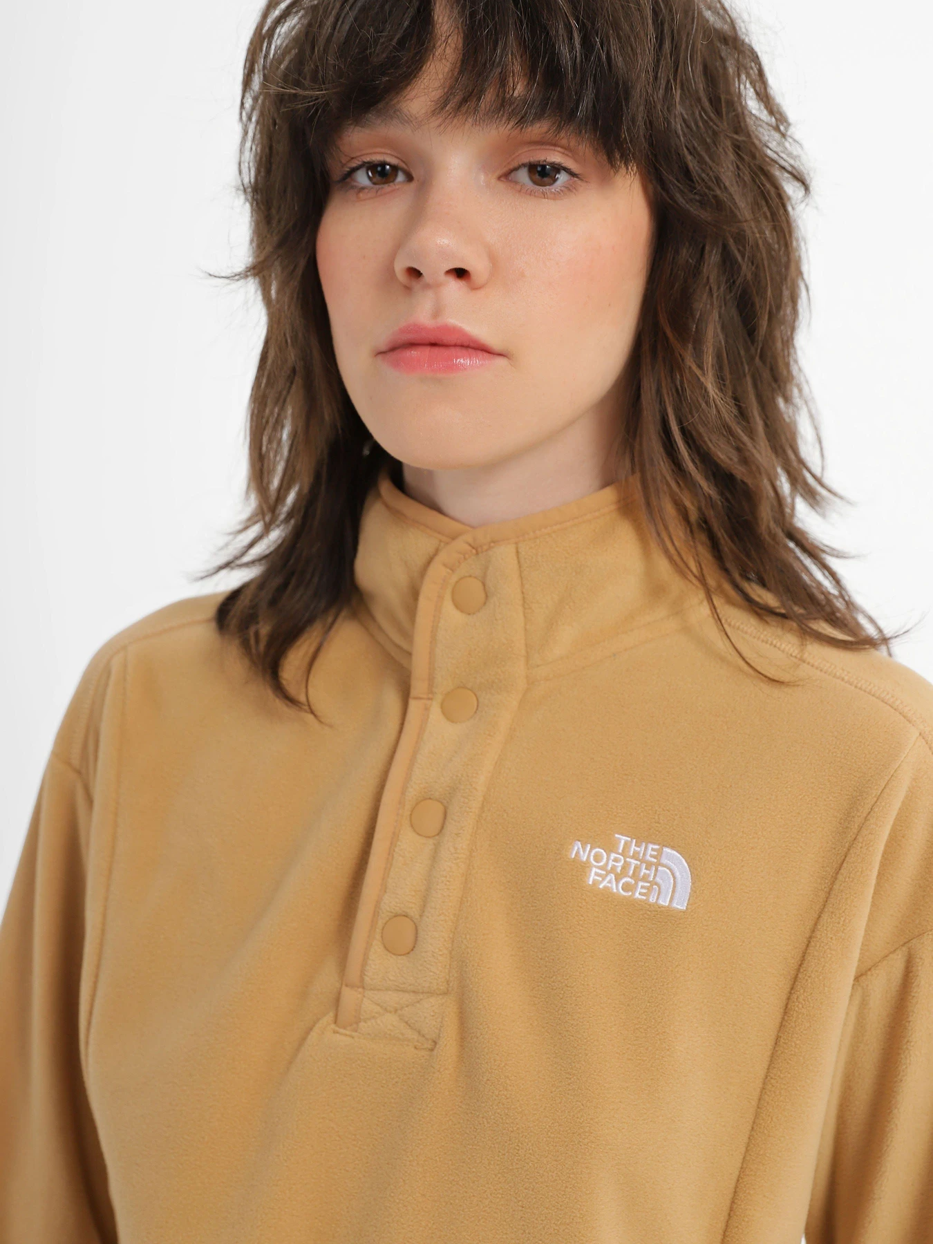 Худи и свитшоты The North Face Homesafe Snap Neck Fleece модель NF0A8565I0J1 Худи и свитшоты The North Face Homesafe Snap Neck Fleece модель NF0A8565I0J1 Фото