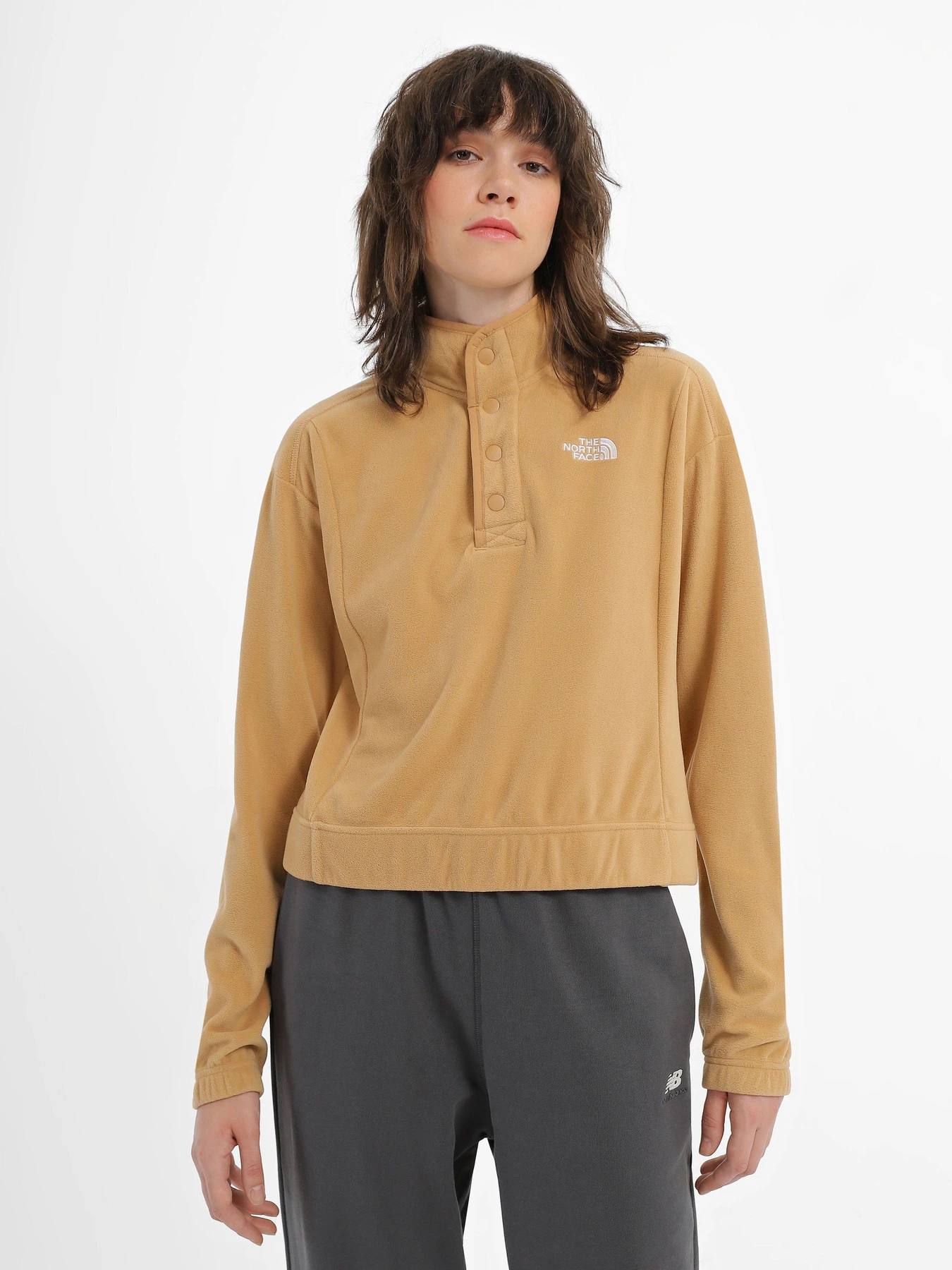 Худи и свитшоты The North Face Homesafe Snap Neck Fleece модель NF0A8565I0J1 Худи и свитшоты The North Face Homesafe Snap Neck Fleece модель NF0A8565I0J1 Фото