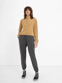 Худи и свитшоты The North Face Homesafe Snap Neck Fleece модель NF0A8565I0J1 Фото