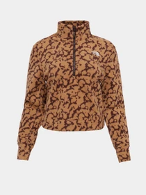Худі та світшоти The North Face 100 Glacier Printed Half Zip модель NF0A8593OLW1 Фото
