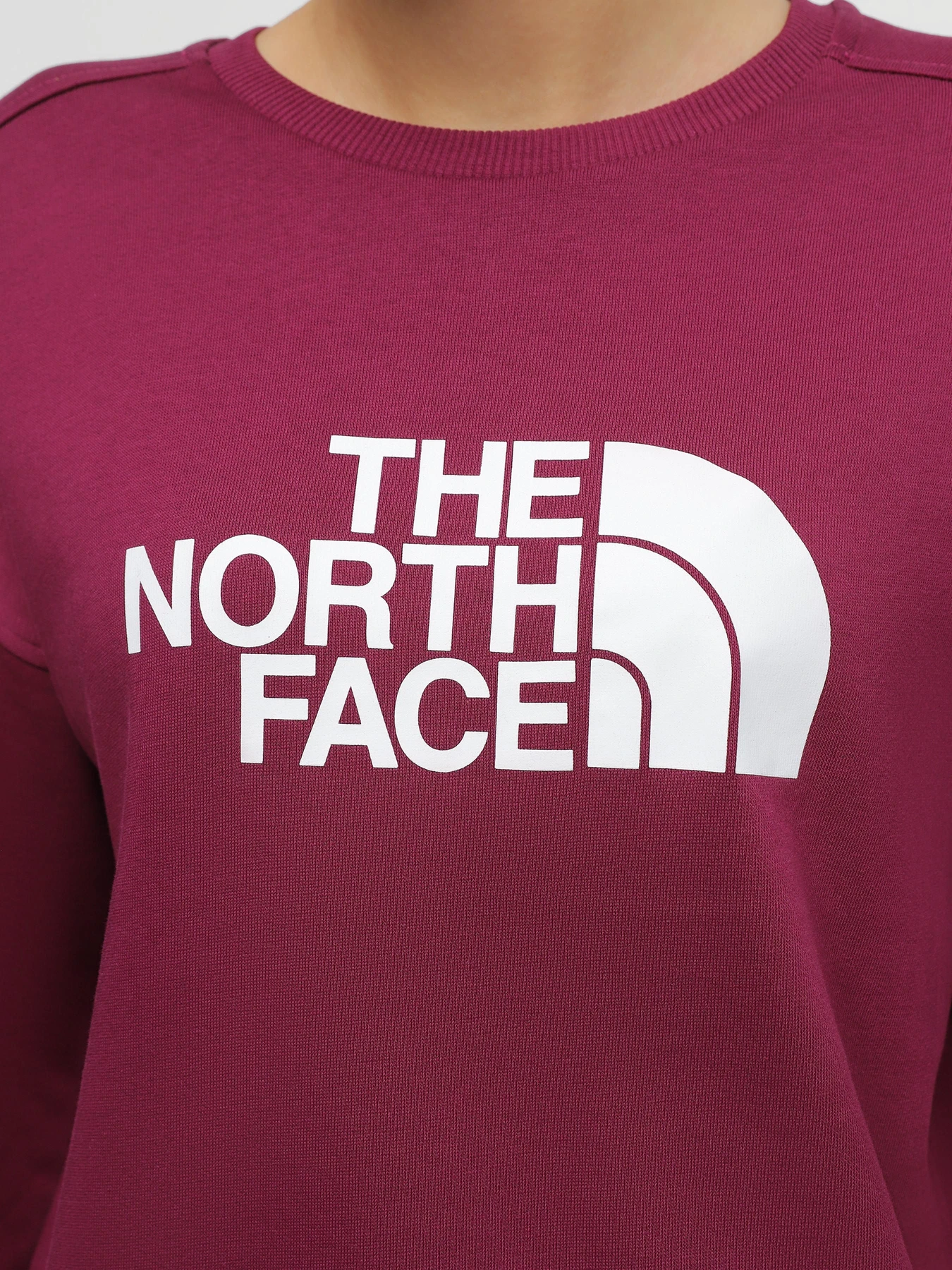 Худи и свитшоты The North Face Drew Peak Crew модель NF0A3S4GI0H1 Худи и свитшоты The North Face Drew Peak Crew модель NF0A3S4GI0H1 Фото