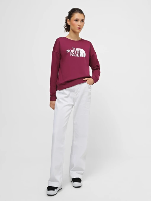 Худи и свитшоты The North Face Drew Peak Crew модель NF0A3S4GI0H1 Фото