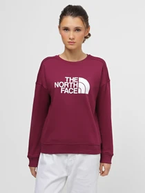 Худи и свитшоты The North Face Drew Peak Crew модель NF0A3S4GI0H1 Фото