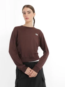 Худи и свитшоты The North Face Basic модель NF0A4917I0I1 Фото