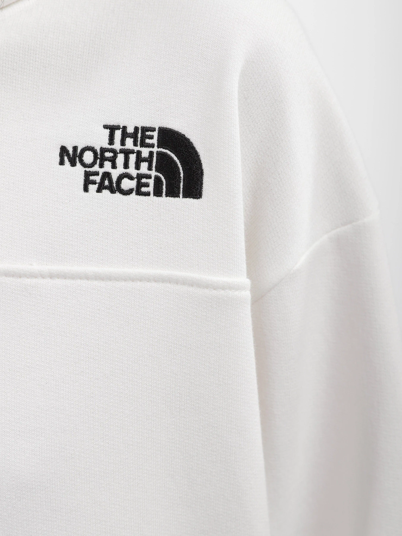 Худи и свитшоты The North Face Zumu модель NF0A491PN3N1 Худи и свитшоты The North Face Zumu модель NF0A491PN3N1 Фото