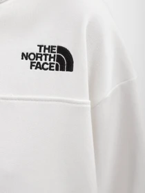 Худи и свитшоты The North Face Zumu модель NF0A491PN3N1 Фото