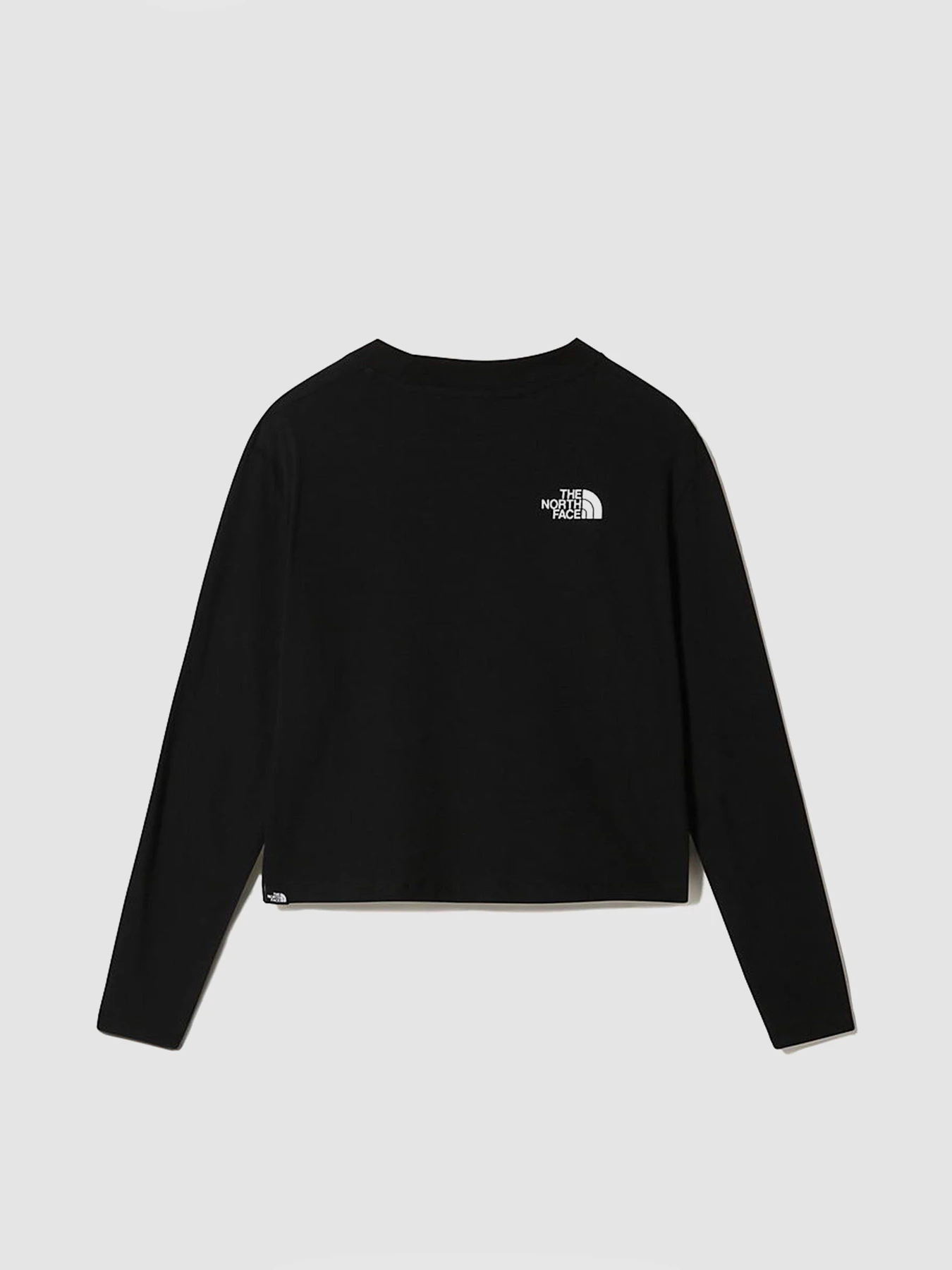 Худи и свитшоты The North Face Longsleeve Crop Tee модель NF0A5581JK31 Фото