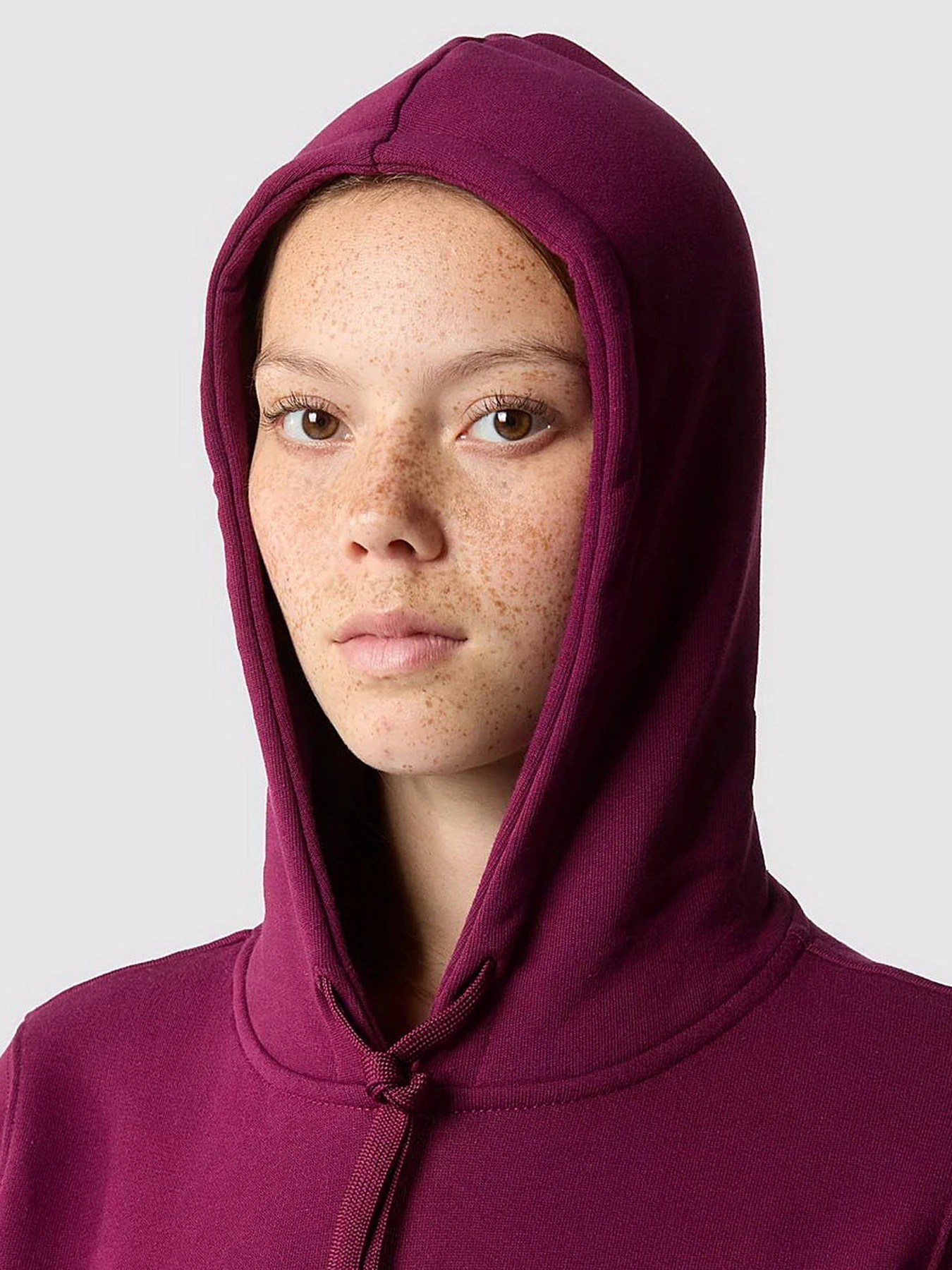 Худи и свитшоты The North Face Drew Peak модель NF0A55ECI0H1 Фото