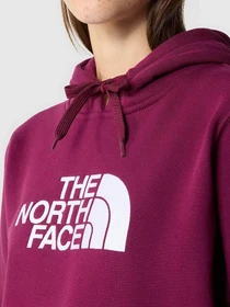 Худи и свитшоты The North Face Drew Peak модель NF0A55ECI0H1 Фото