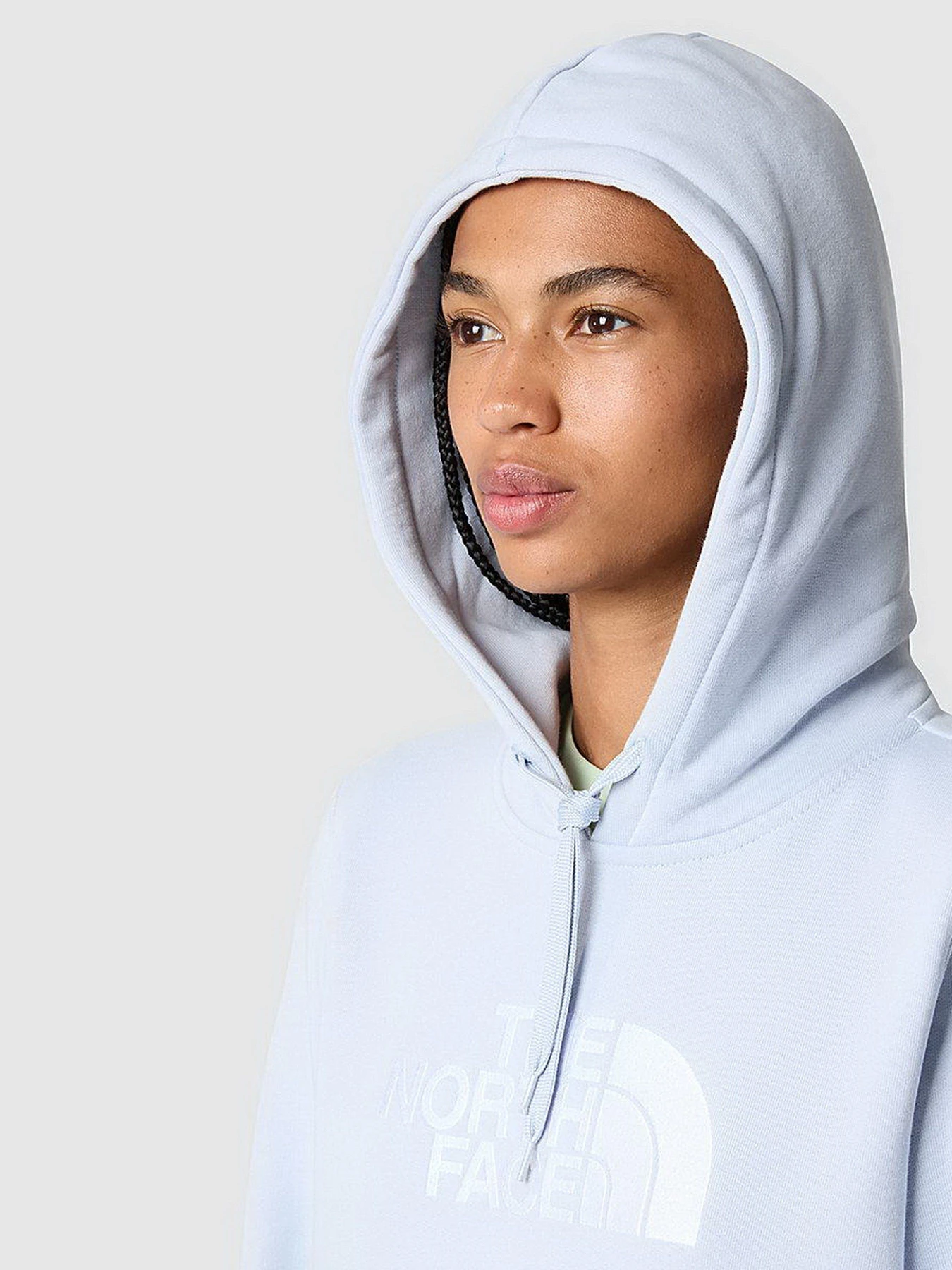 Худи и свитшоты The North Face Drew Peak модель NF0A55ECI0E1 Фото