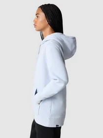 Худи и свитшоты The North Face Drew Peak модель NF0A55ECI0E1 Фото