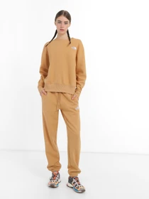 Худи и свитшоты The North Face Essential модель NF0A7ZJEI0J1 Фото
