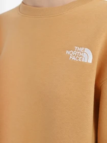 Худи и свитшоты The North Face Essential модель NF0A7ZJEI0J1 Фото