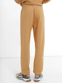 Брюки The North Face Essential модель NF0A7ZJFI0J1 Фото