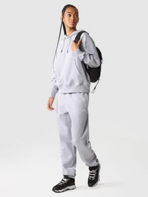 Брюки The North Face Essential Sweat модель NF0A7ZJFDYX1 Фото