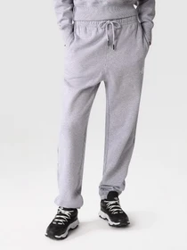 Брюки The North Face Essential Sweat модель NF0A7ZJFDYX1 Фото