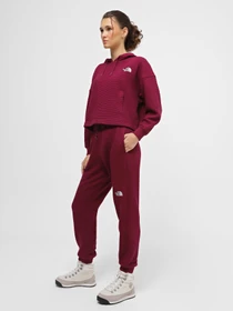 Худи и свитшоты The North Face Mhysa модель NF0A853WI0H1 Фото