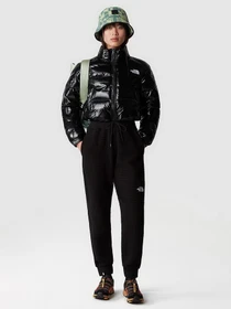 Брюки The North Face W Mhysa Pant модель NF0A853YJK31 Фото