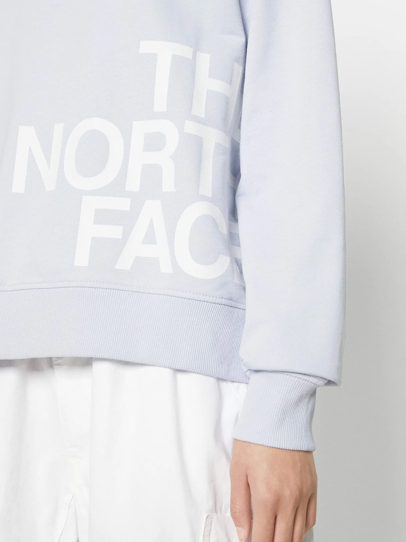 Худи и свитшоты The North Face Blown Up модель NF0A8545I0E1 Худи и свитшоты The North Face Blown Up модель NF0A8545I0E1 Фото