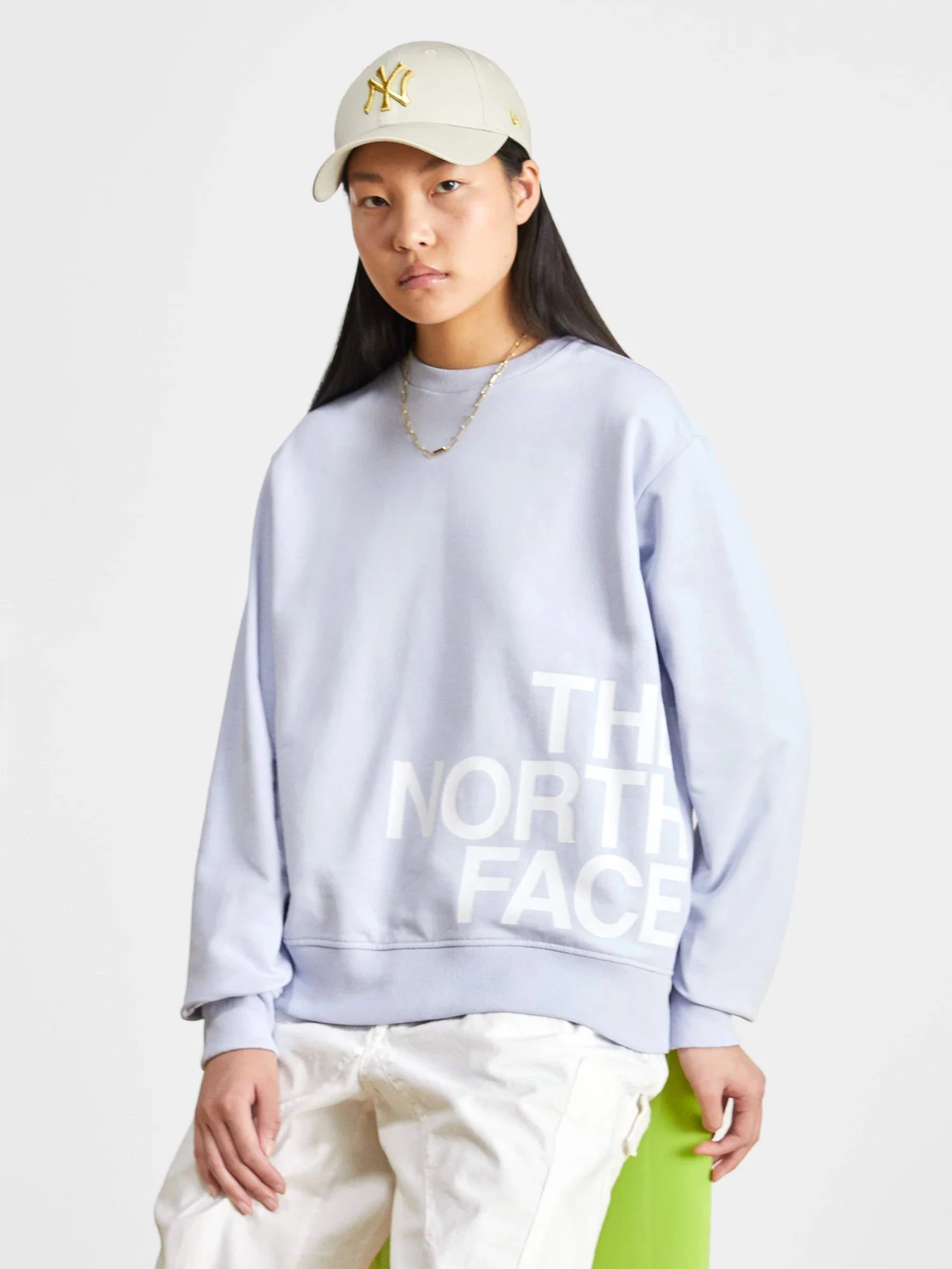 Худи и свитшоты The North Face Blown Up модель NF0A8545I0E1 Худи и свитшоты The North Face Blown Up модель NF0A8545I0E1 Фото
