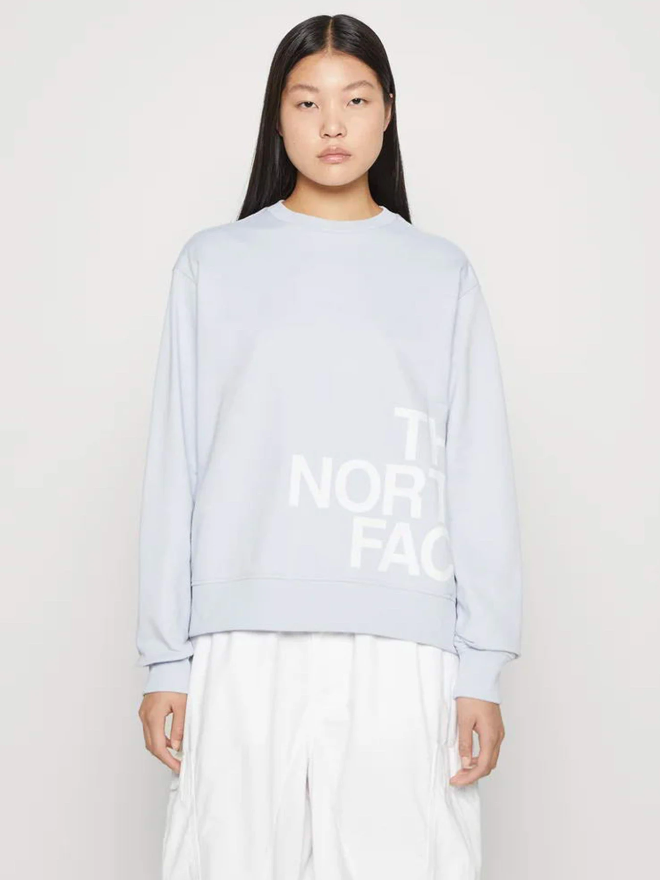 Худи и свитшоты The North Face Blown Up модель NF0A8545I0E1 Худи и свитшоты The North Face Blown Up модель NF0A8545I0E1 Фото