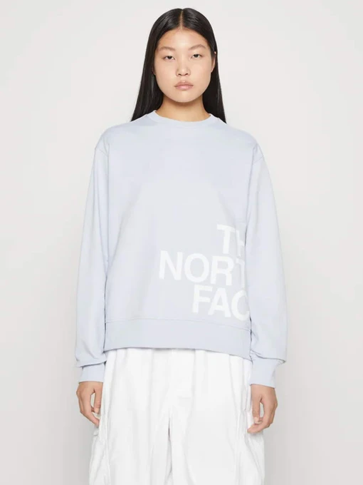Худи и свитшоты The North Face Blown Up модель NF0A8545I0E1 Фото