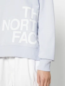 Худи и свитшоты The North Face Blown Up модель NF0A8545I0E1 Фото