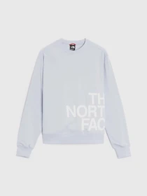 Худи и свитшоты The North Face Blown Up модель NF0A8545I0E1 Фото