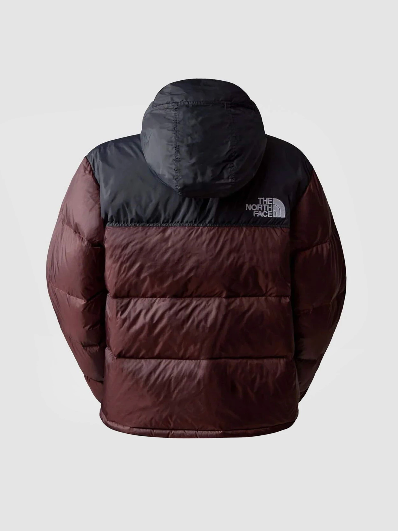 Куртки и дубленки The North Face Retro Nuptse 1996 модель NF0A3XEOLOS1 Фото