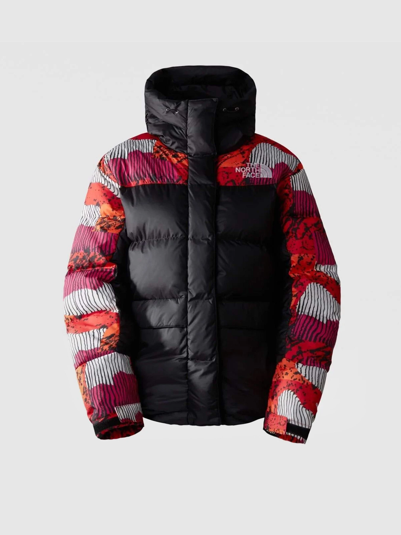 Куртки и дубленки The North Face Hmlyn модель NF0A4R2WOT21 Фото