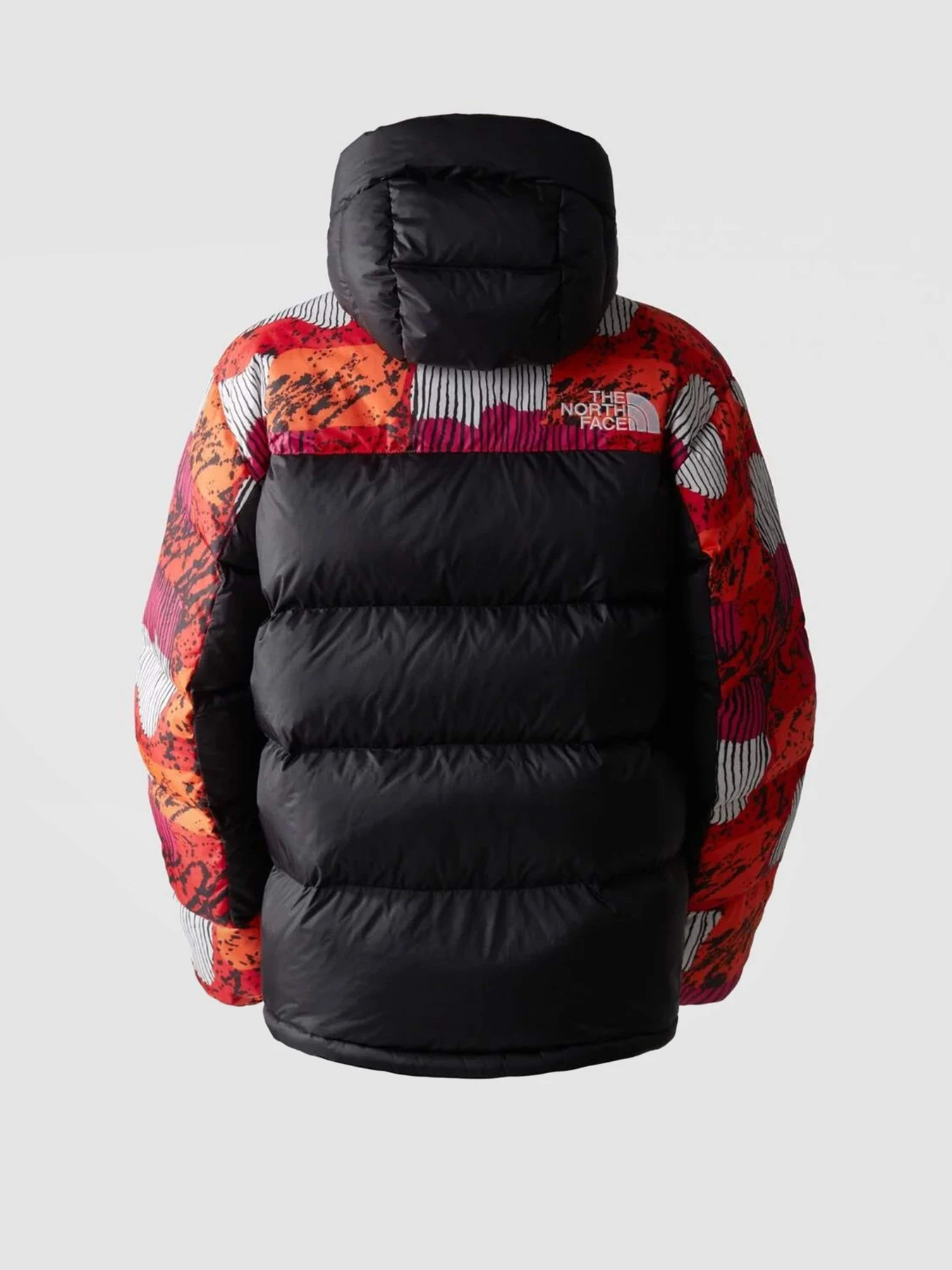 Куртки и дубленки The North Face Hmlyn модель NF0A4R2WOT21 Фото
