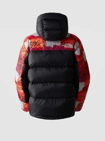 Куртки и дубленки The North Face Hmlyn модель NF0A4R2WOT21 Фото