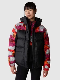 Куртки и дубленки The North Face Hmlyn модель NF0A4R2WOT21 Фото