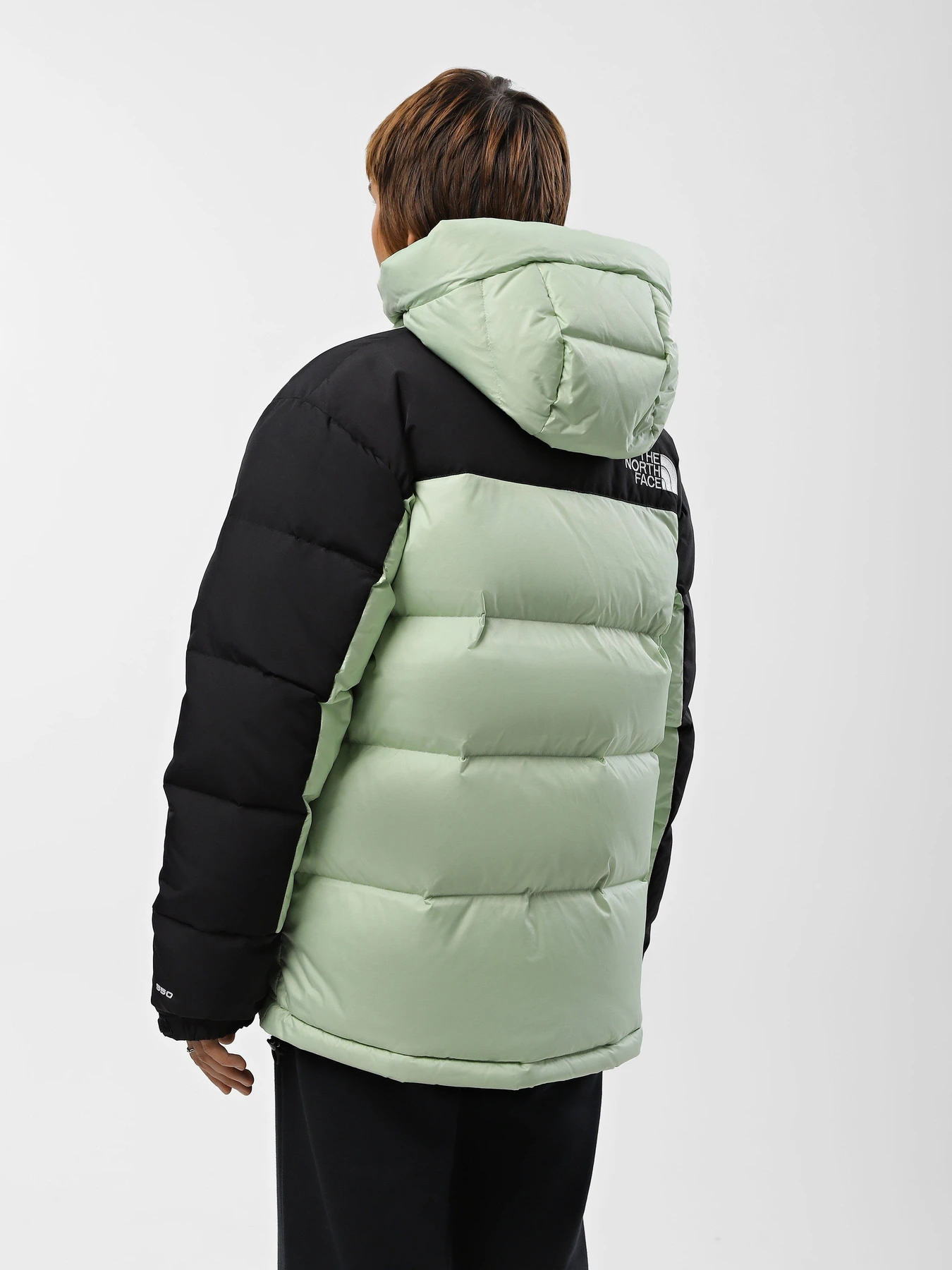 Куртки та дублянки The North Face Himalayan модель NF0A4R2WLGO1 Куртки та дублянки The North Face Himalayan модель NF0A4R2WLGO1 Фото