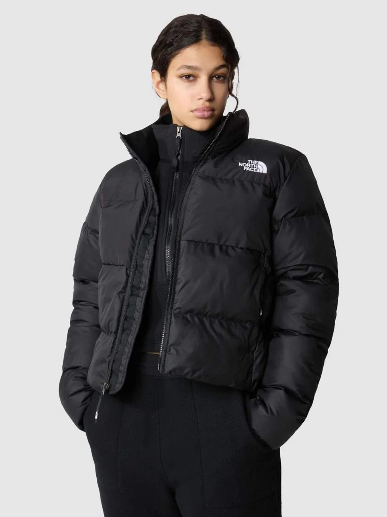 Куртки и дубленки The North Face Cropped Saikuru модель NF0A853MJK31 Фото