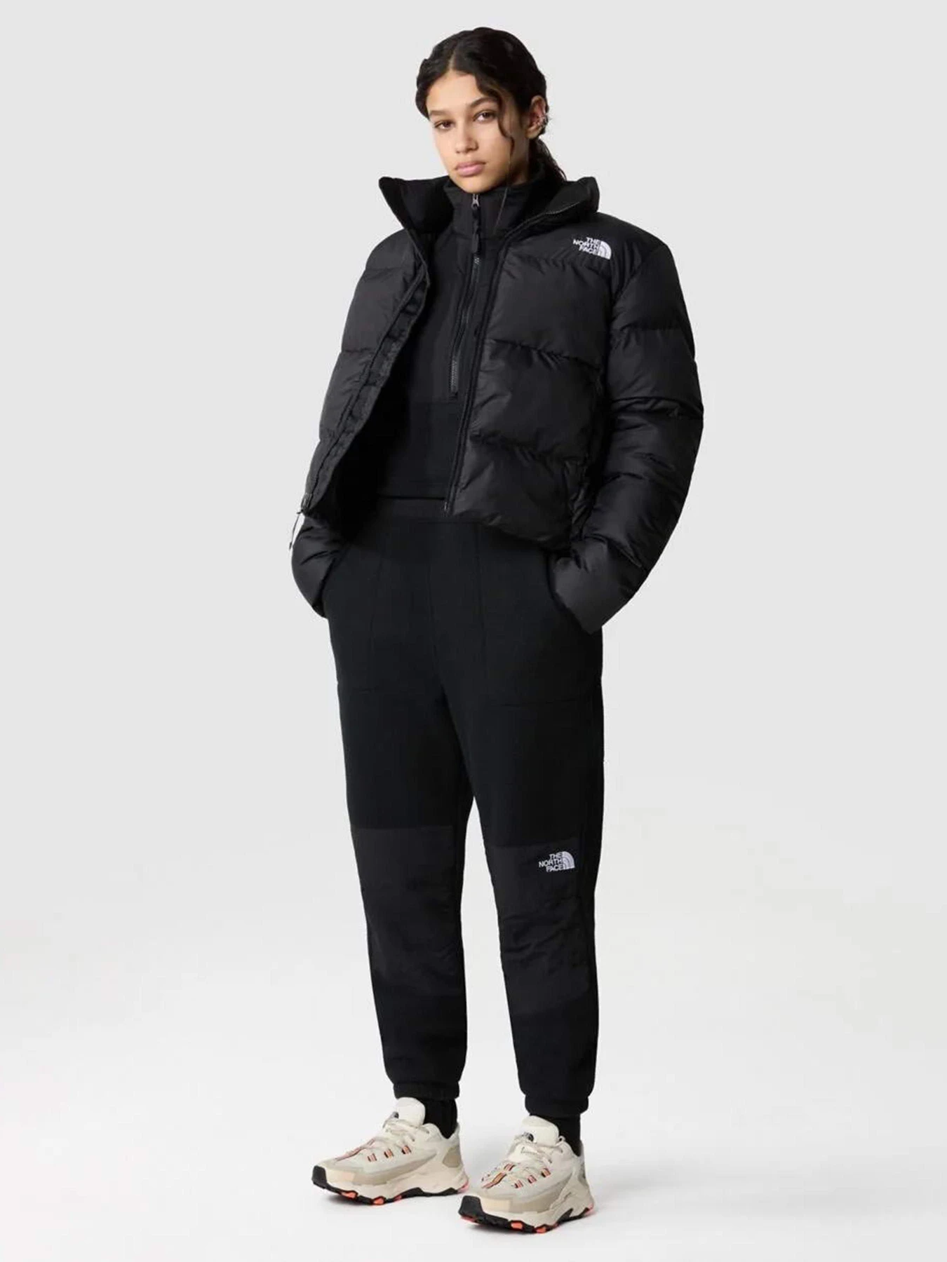 Куртки и дубленки The North Face Cropped Saikuru модель NF0A853MJK31 Фото