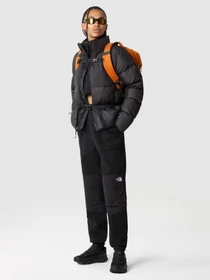 Куртки та дублянки The North Face Saikuru модель NF0A853NJK31 Фото