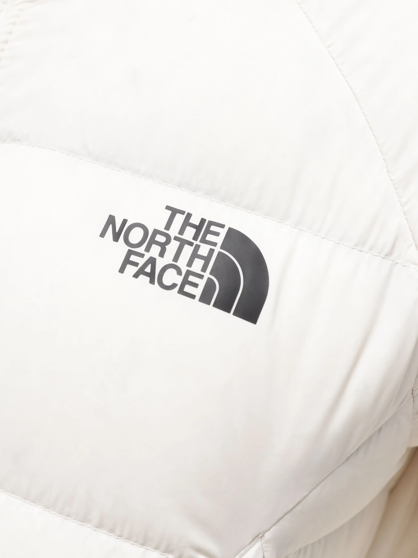 Куртки и дубленки The North Face Hyalite Down модель NF0A3Y4RN3N1 Куртки и дубленки The North Face Hyalite Down модель NF0A3Y4RN3N1 Фото