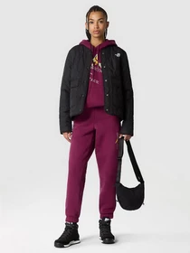 Куртки и дубленки The North Face Ampato Quilted модель NF0A83IDJK31 Фото