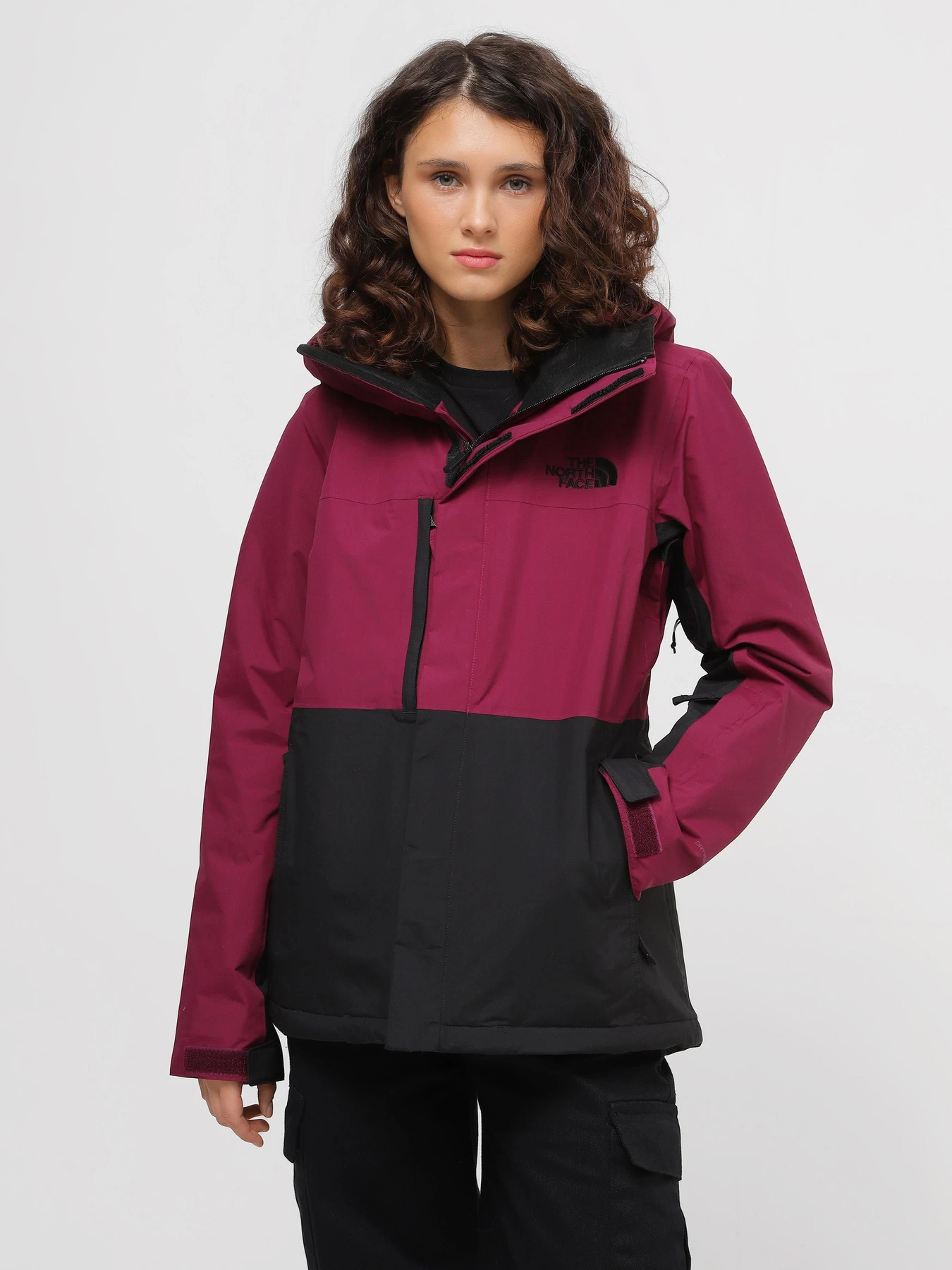 Куртки и дубленки The North Face Freedom модель NF0A7WYKI0H1 Фото