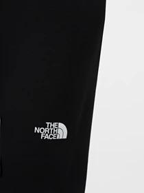 Брюки The North Face W AO Hiking Slim Straight Pant модель NF0A7Z8BJK31 Фото