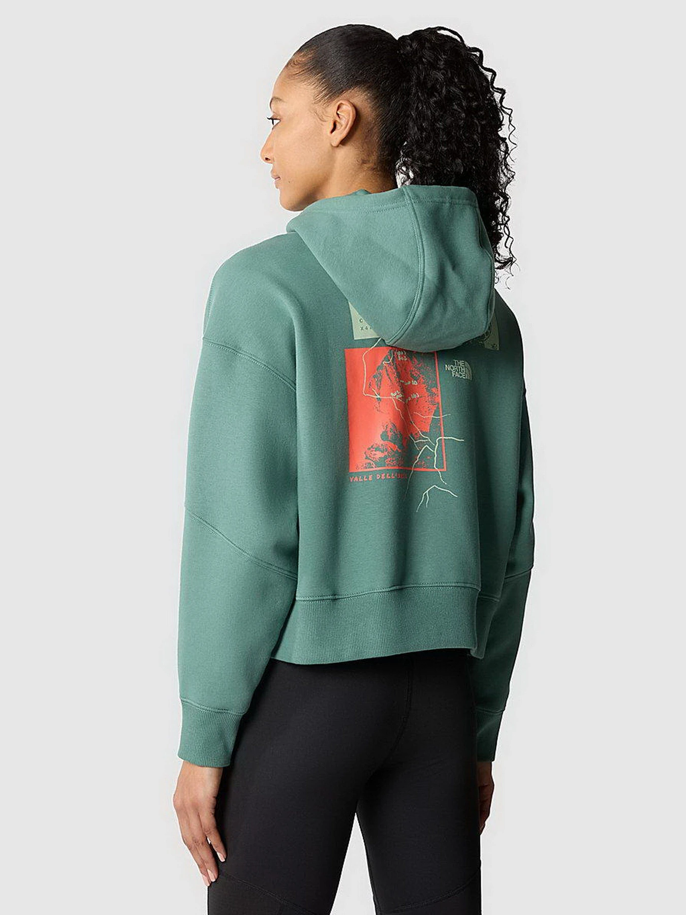 Худи и свитшоты The North Face Outdoor Graphic модель NF0A8525I0F1 Худи и свитшоты The North Face Outdoor Graphic модель NF0A8525I0F1 Фото