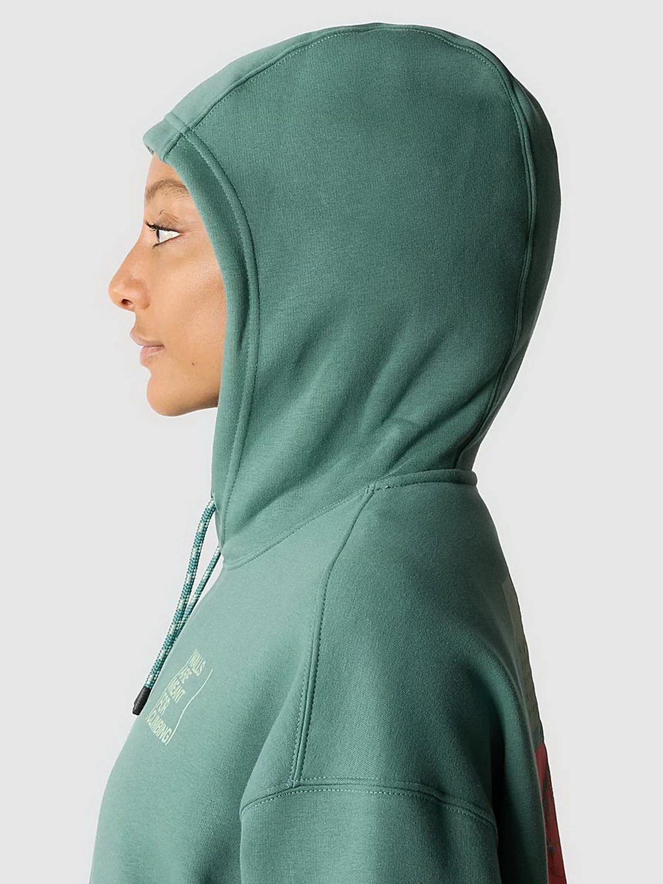 Худи и свитшоты The North Face Outdoor Graphic модель NF0A8525I0F1 Худи и свитшоты The North Face Outdoor Graphic модель NF0A8525I0F1 Фото