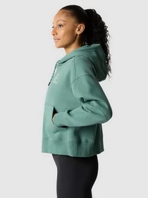 Худи и свитшоты The North Face Outdoor Graphic модель NF0A8525I0F1 Фото