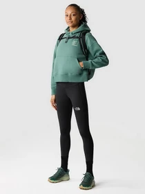 Худи и свитшоты The North Face Outdoor Graphic модель NF0A8525I0F1 Фото
