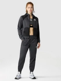Брюки The North Face Mountain Athletics Fleece модель NF0A856BMN81 Фото