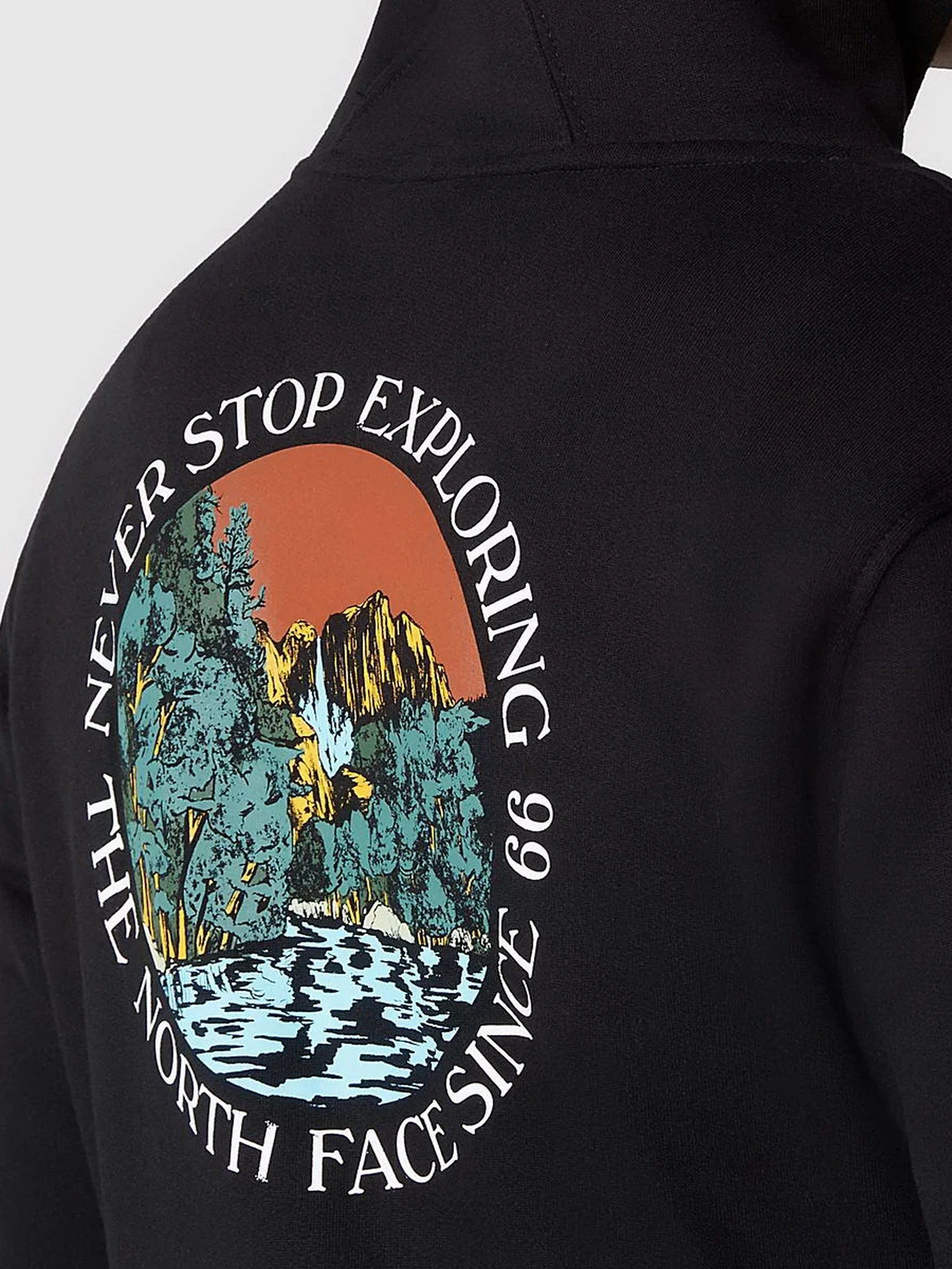 Худи и свитшоты The North Face Seasonal Graphic модель NF0A7X1PUW91 Худи и свитшоты The North Face Seasonal Graphic модель NF0A7X1PUW91 Фото