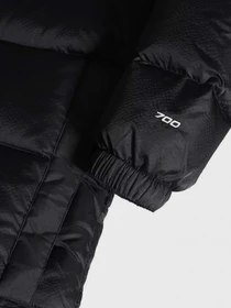 Куртки и дубленки The North Face Diablo модель NF0A4M9LKX71 Фото