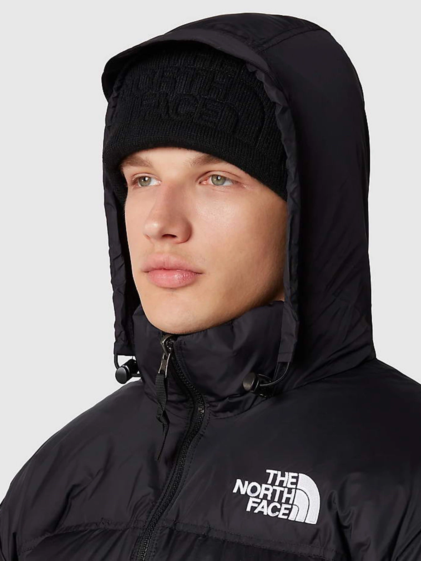 Куртки та дублянки The North Face 1996 Nuptse модель NF0A3C8DLE41 Куртки та дублянки The North Face 1996 Nuptse модель NF0A3C8DLE41 Фото